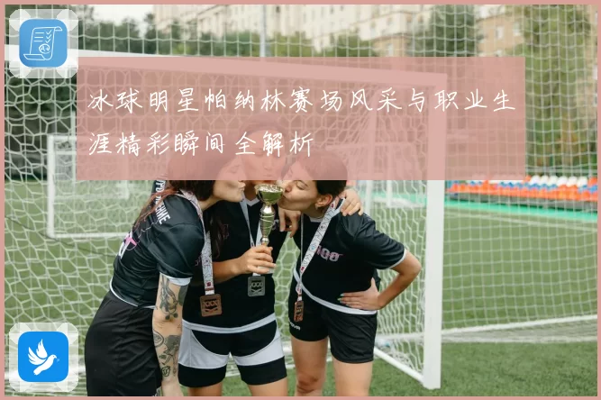 冰球明星帕纳林赛场风采与职业生涯精彩瞬间全解析