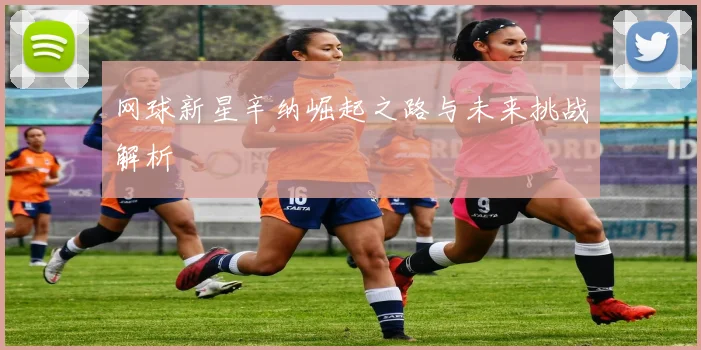 网球新星辛纳崛起之路与未来挑战解析