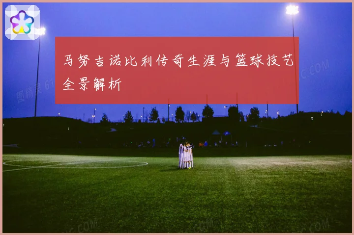 马努吉诺比利传奇生涯与篮球技艺全景解析