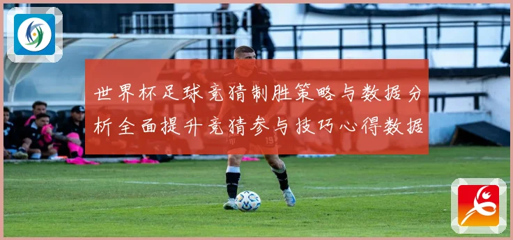 世界杯足球竞猜制胜策略与数据分析全面提升竞猜参与技巧心得数据研判