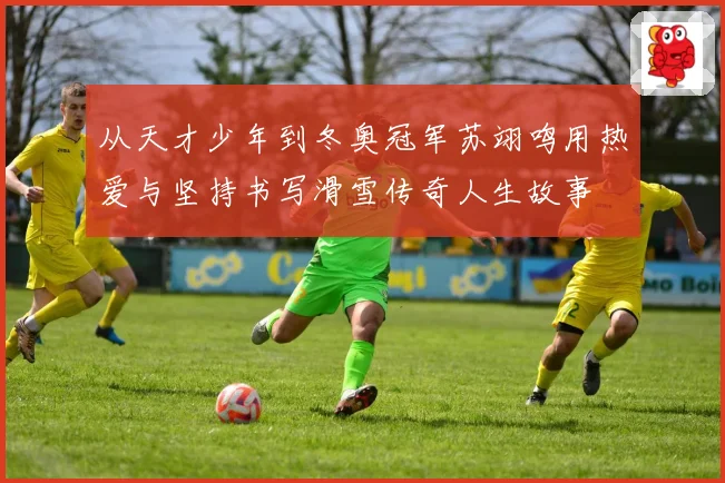 从天才少年到冬奥冠军苏翊鸣用热爱与坚持书写滑雪传奇人生故事