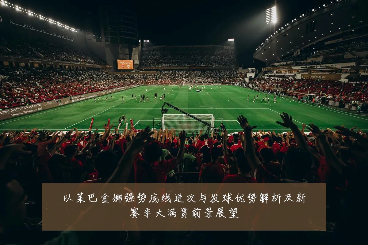以莱巴金娜强势底线进攻与发球优势解析及新赛季大满贯前景展望